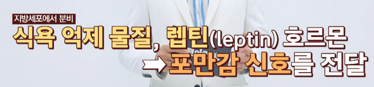 bnr17 유산균 효능