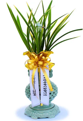 쾌유를 바라는 글귀 이미지 다운로드_23