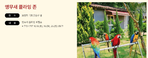 보은대추축제 일정표 초대가수 소싸움시간 2025년