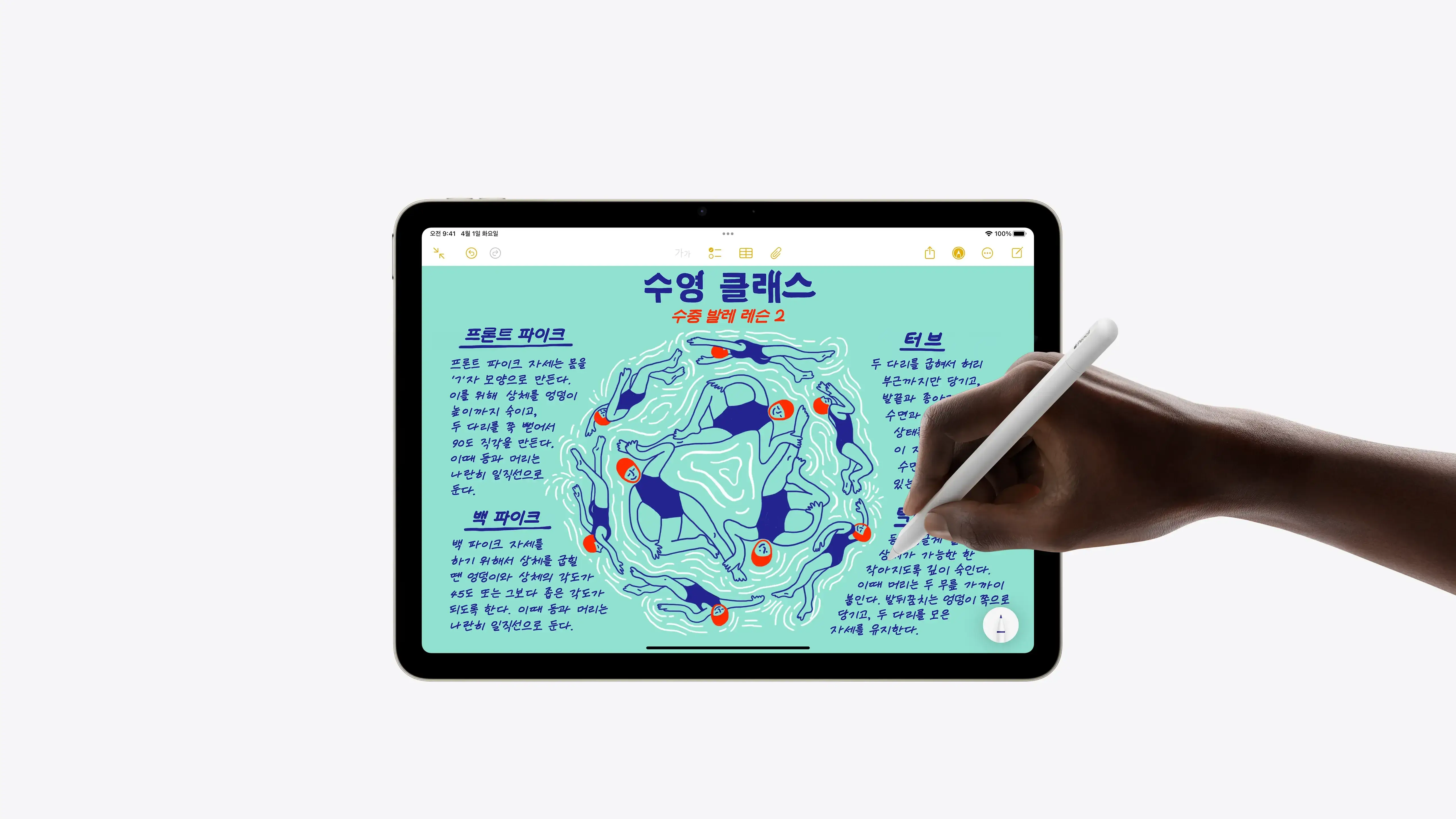 애플 M3 아이패드에어 11인치, 13인치 모델 상세 스펙 및 가격