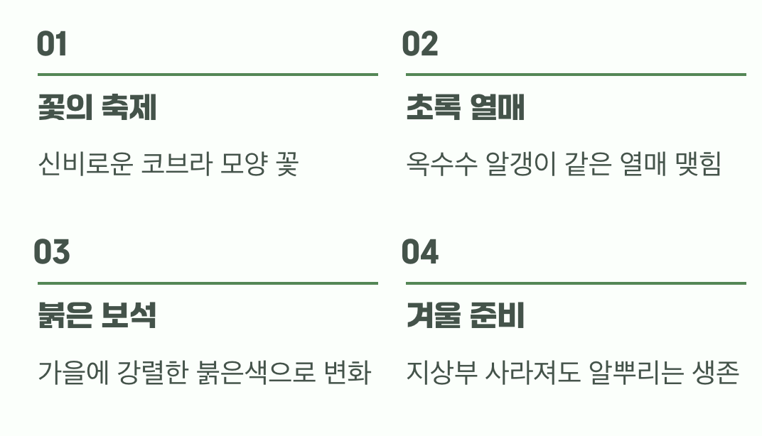 경이로운 생명의 순환