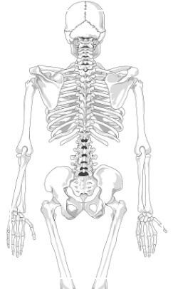 왼쪽 가슴 통증 원인