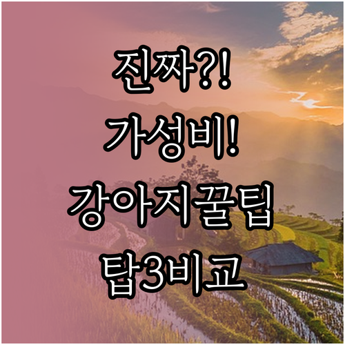 진짜 가성비 강아지 보험 TOP 3 ..