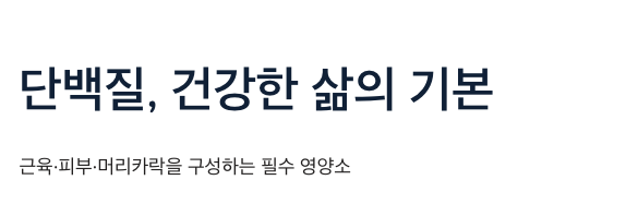 단백질 건강한 삶의 기본