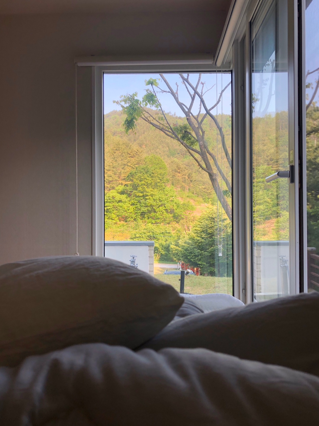 삼척 숙소 펜션 독채