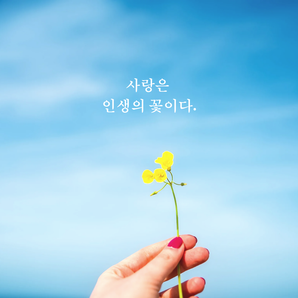 짧고 좋은 사랑 글귀 좋은글 문구 이미지 모음