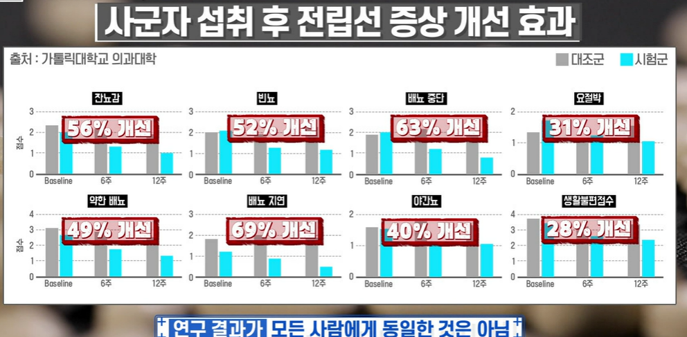 전립선 사군자