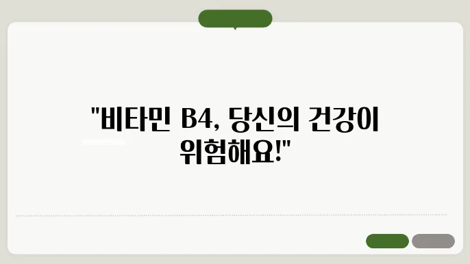 뻯육볼 B4 부족증상