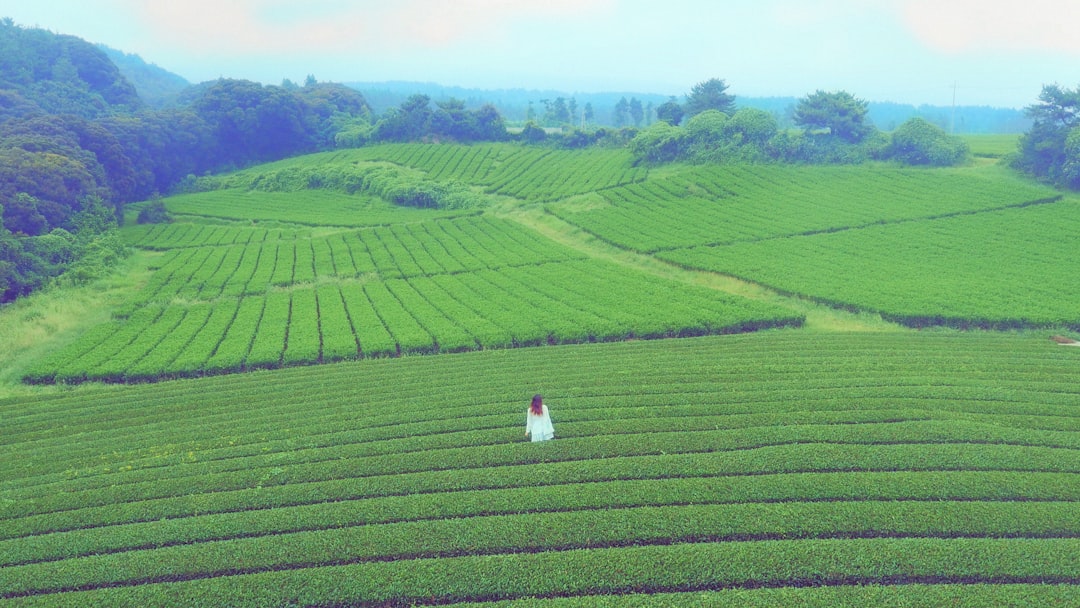 Jeju Island