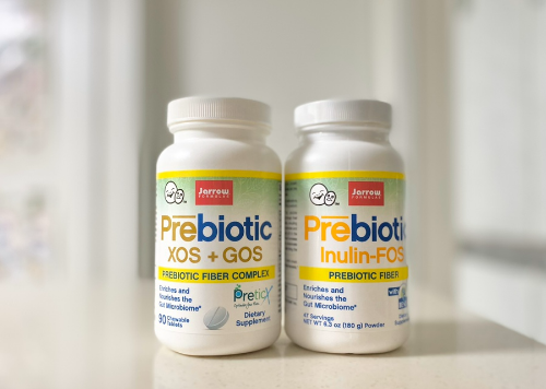 장 건강위한 영양제 프리바이오틱스 