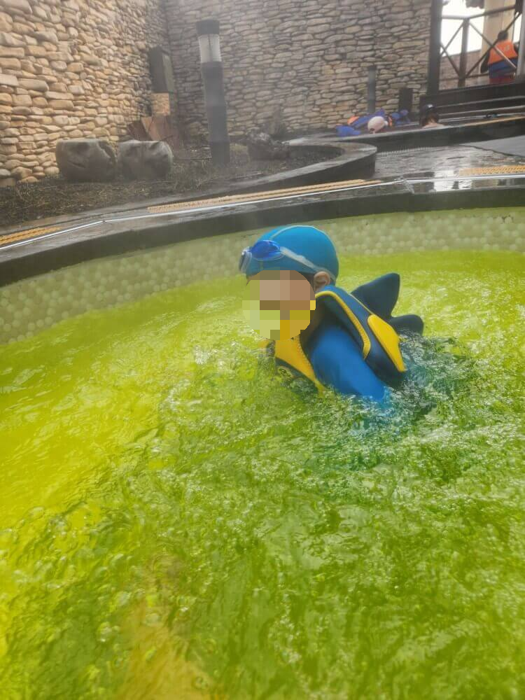 덕산 스플라스 리솜 워터파크 할인