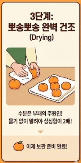 귤보관법