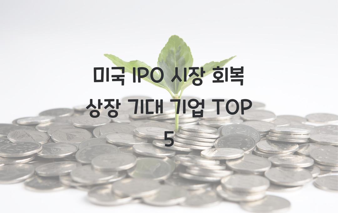 미국 IPO 시장 회복! 2025년 상장 기대되는 기업은?