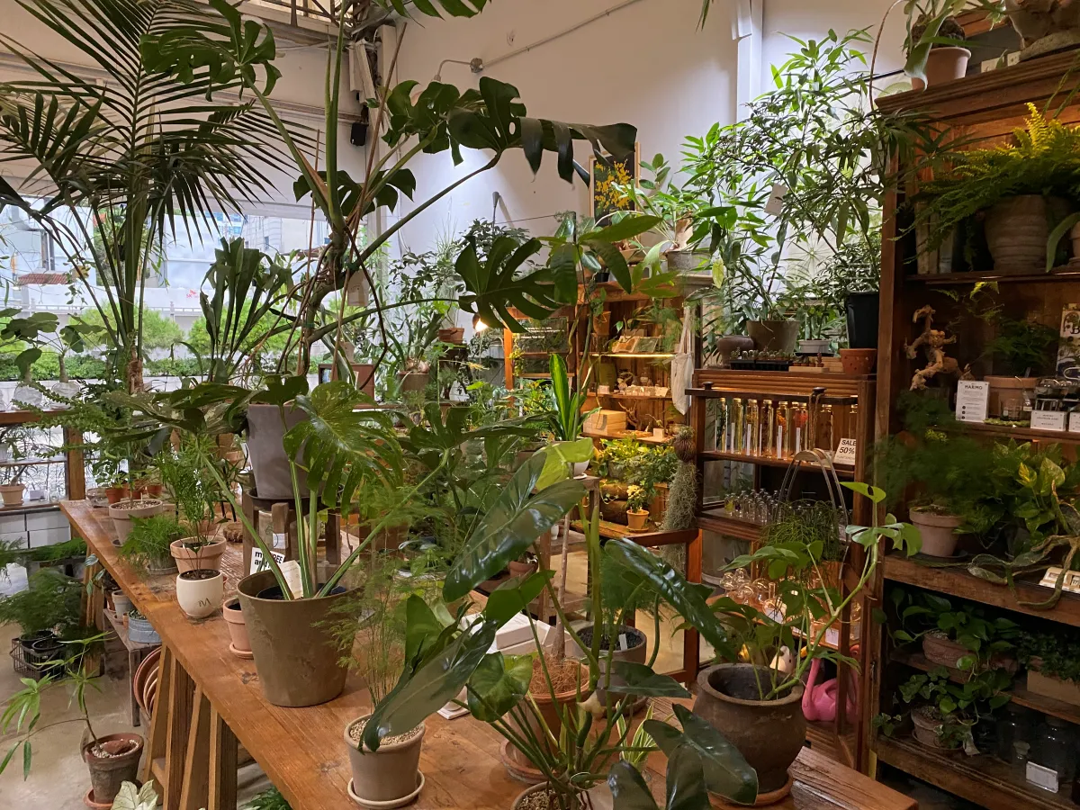 성수-놀거리-추천-식물-구경하기-좋은-가드닝샵-슬로우파마씨