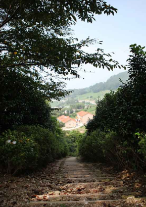 서해 가볼만한곳 베스트10