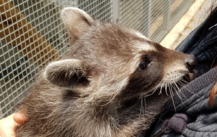 퍼스트가든 별빛축제