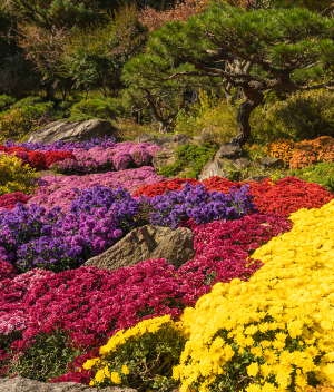 화담숲 암석&amp;#44; 하경정원