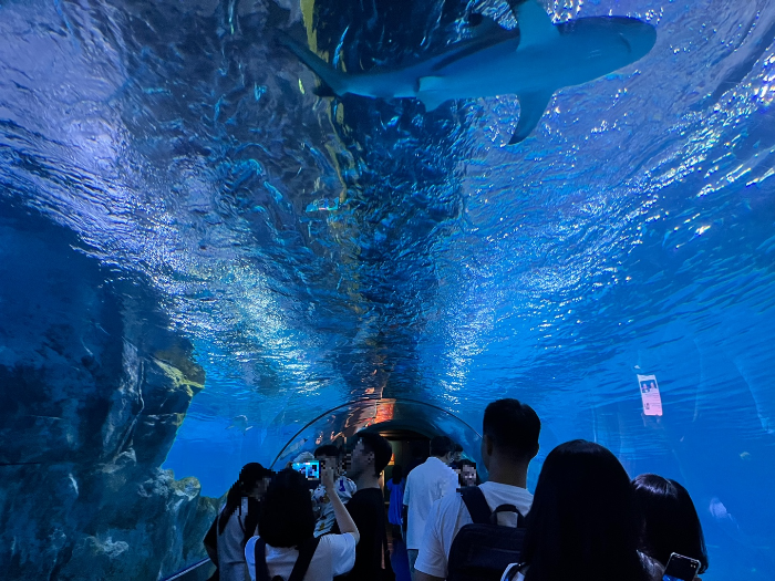 수중터널이 최고