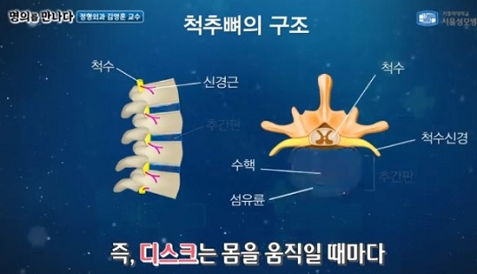 척추뼈의구조