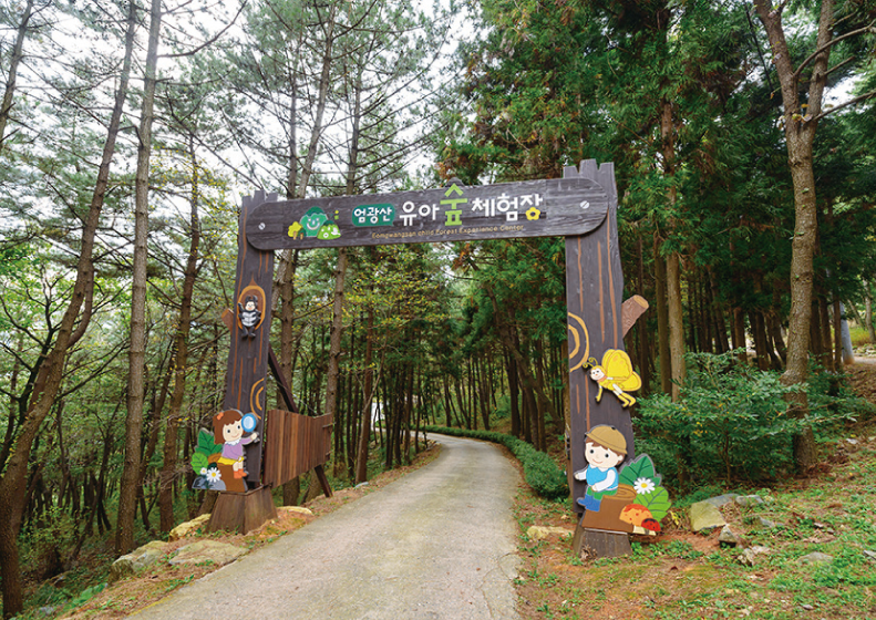 경주 유아숲체험장