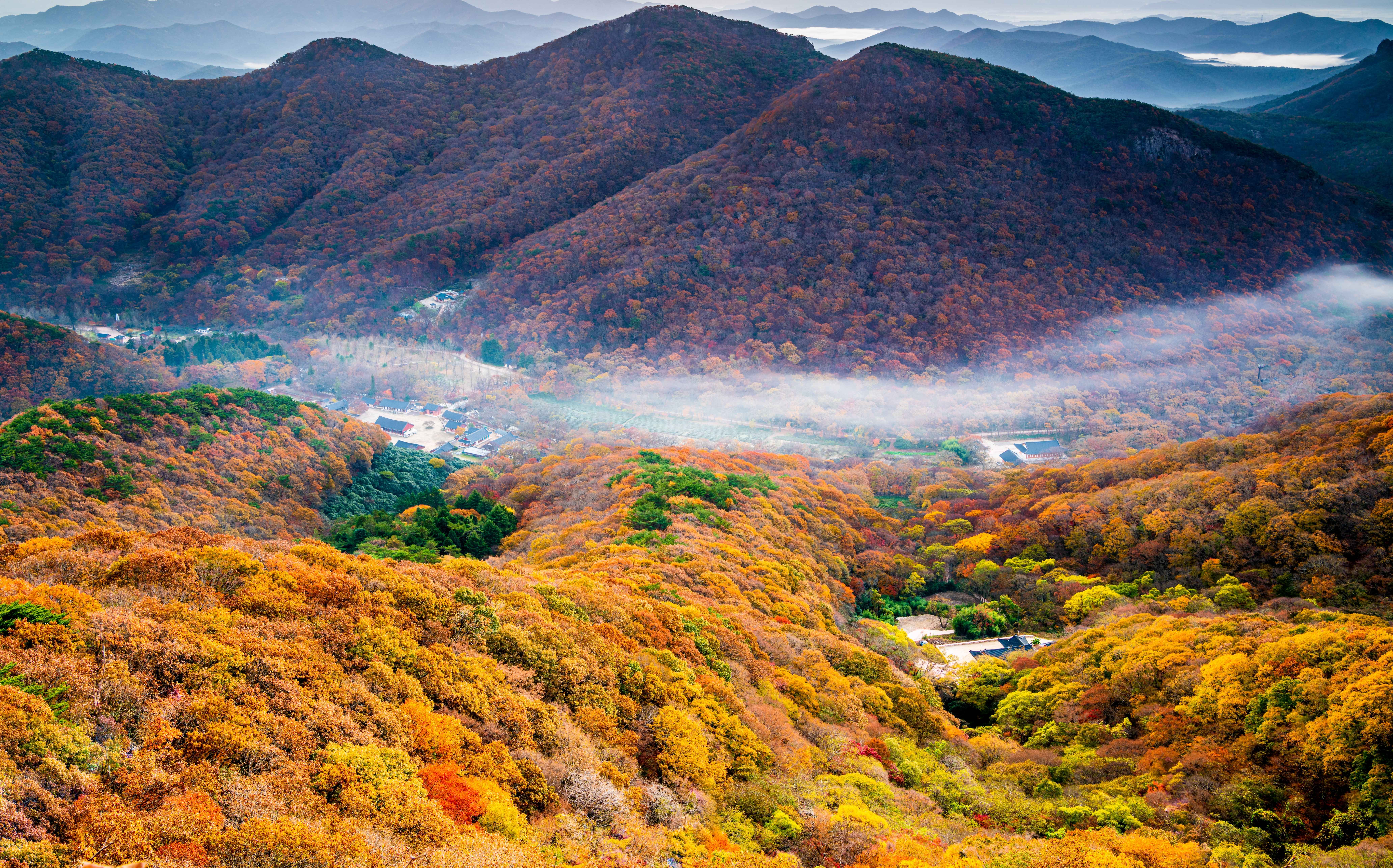 전국-단풍명소-선운사