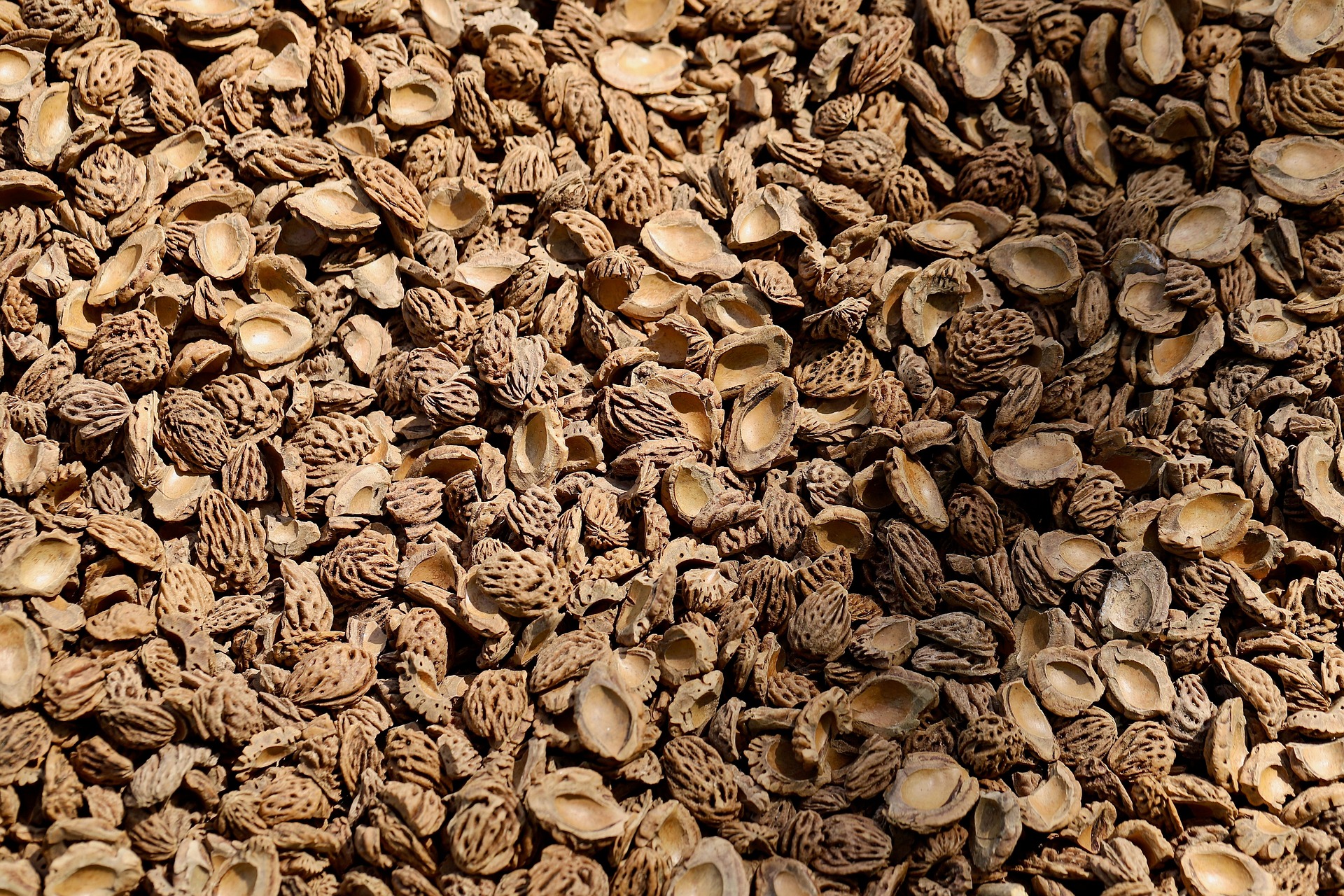 원재료보다 ‘가공 중 발생한 부산물’이 더 희귀해진 사례