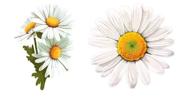 사리가 생기는 이유