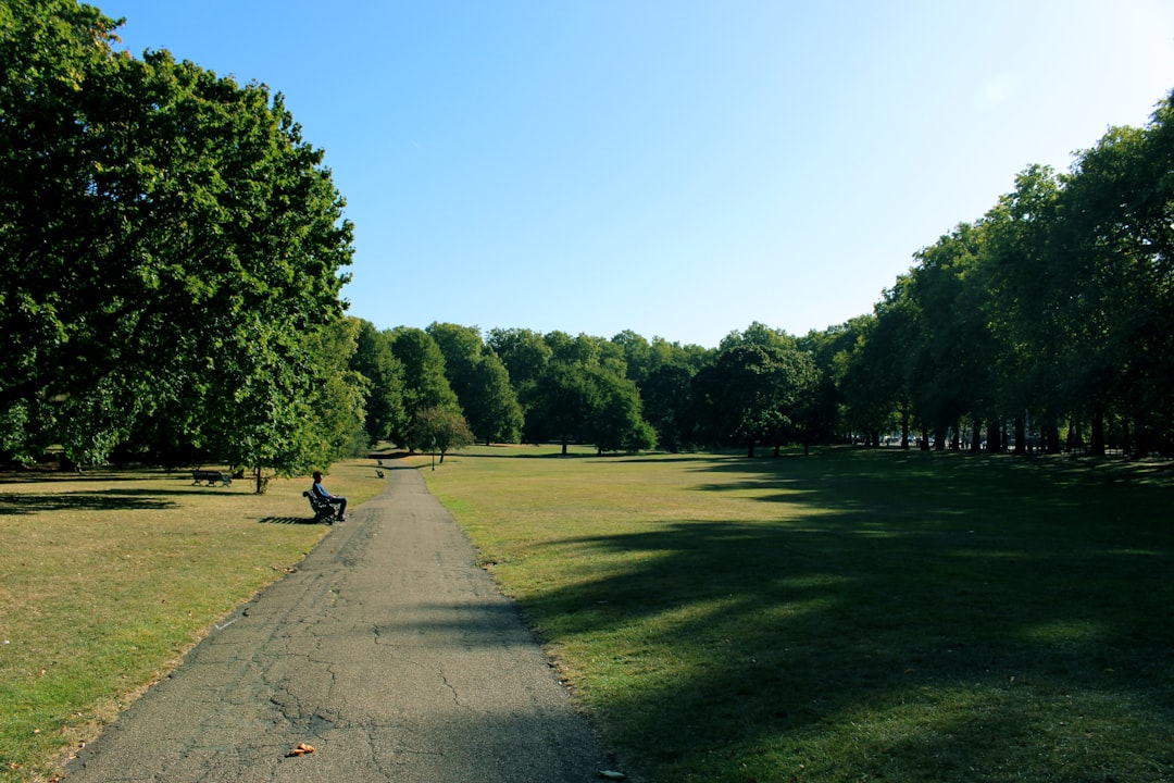 'Park'