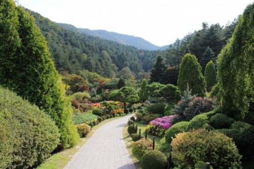 가평 아침고요수목원 사진