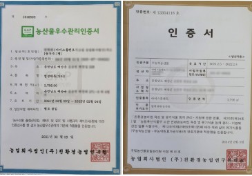 생방송 오늘 아침 아이스플랜트 얼음채소 주문 방법(암 예방 확률 2배) 관련사진