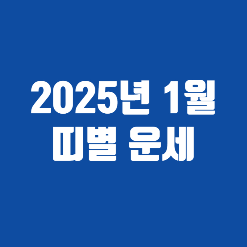 2025년 1월 띠별 운세