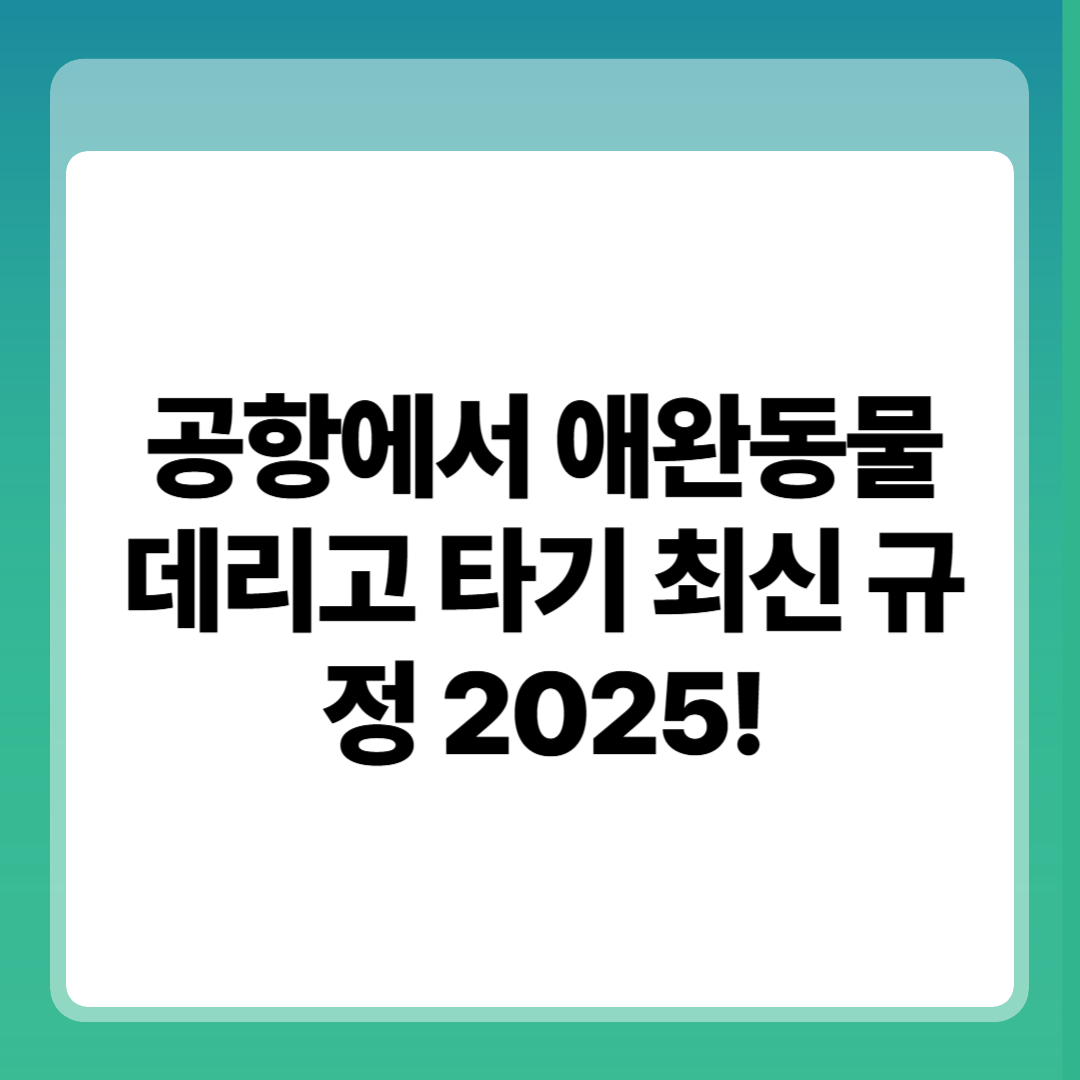 공항에서 애완동물 데리고 타기 최신 규정 2025!