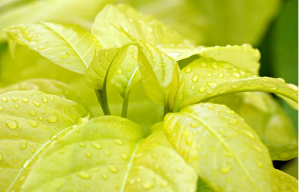 친환경에 대한 이미지