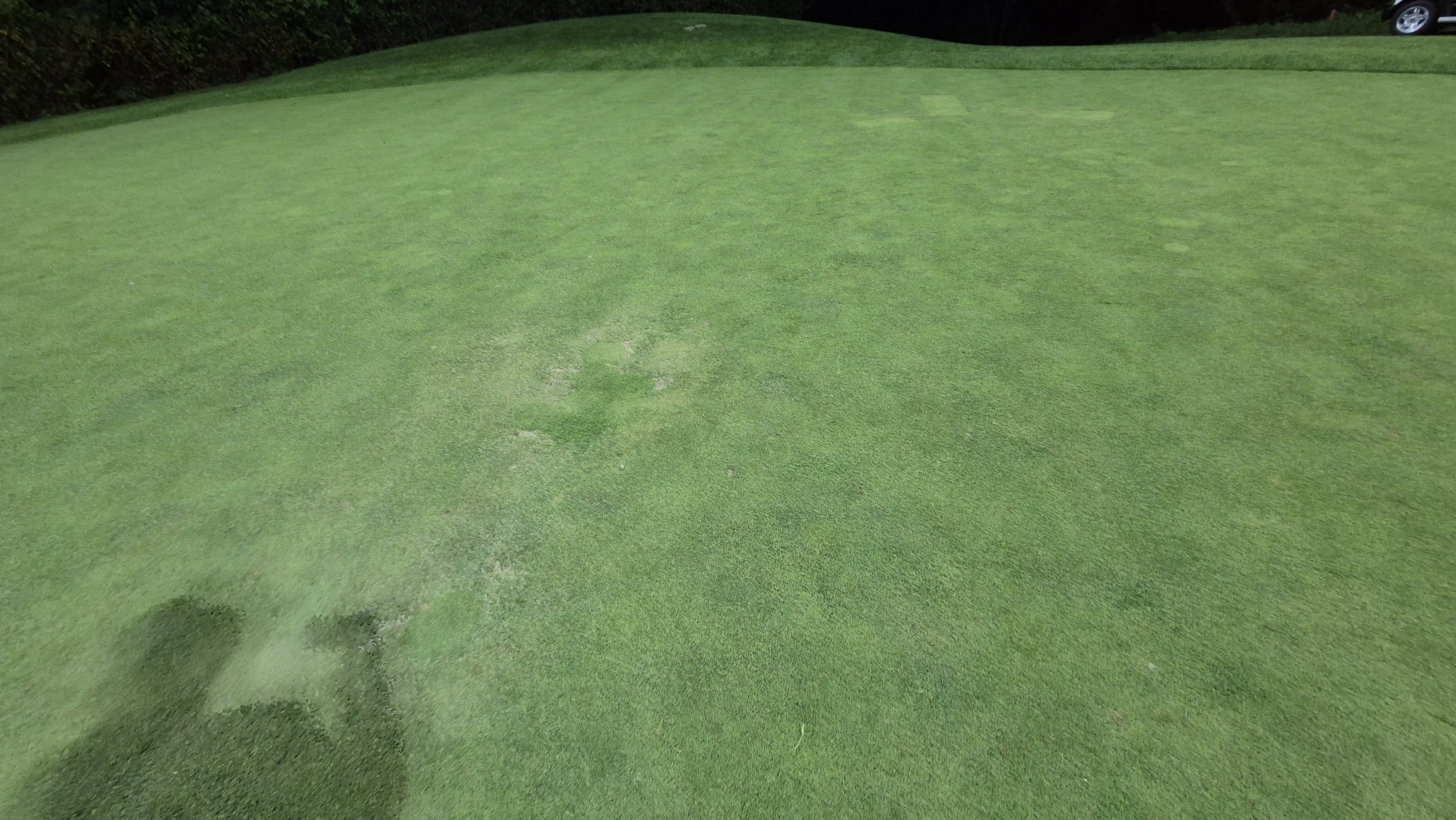 블랙스톤 벨포레cc 그린 관리 상태