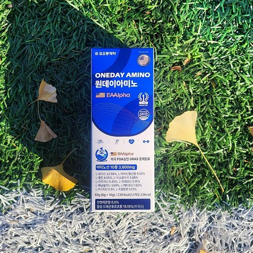 필수아미노산종류를 알아보고 관련 영양제 제품도 함께 골라보기