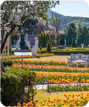 벽초지수목원 봄꽃 &amp; 튤립축제 이미지 출처: 벽초지수목원 홈페이지