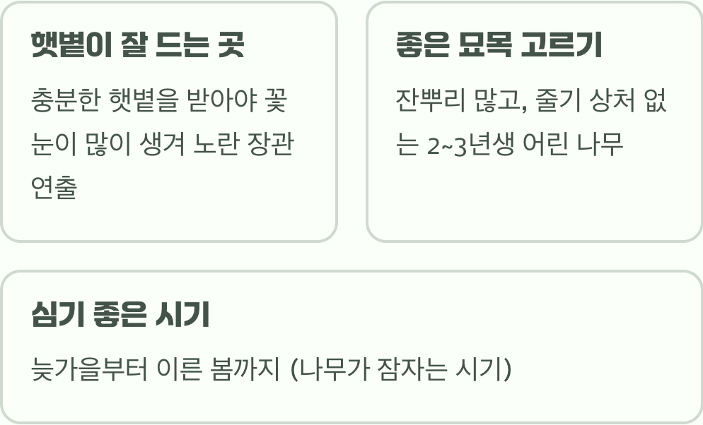 1. 첫 단추&amp;#44; 건강한 묘목과 햇살 가득한 자리