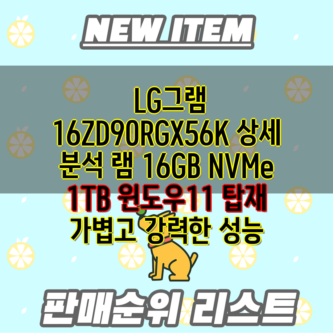  LG그램 16ZD90RGX56K 상세 분석 램 16G