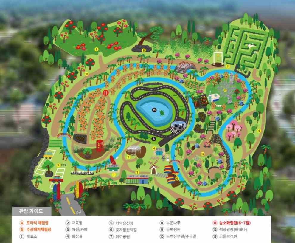 비체올린 능소화축제