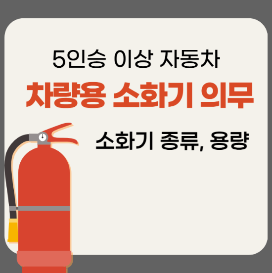 24년 12월 5인승 이상 차량 소화기 의무화, 소화기 종류별 추천