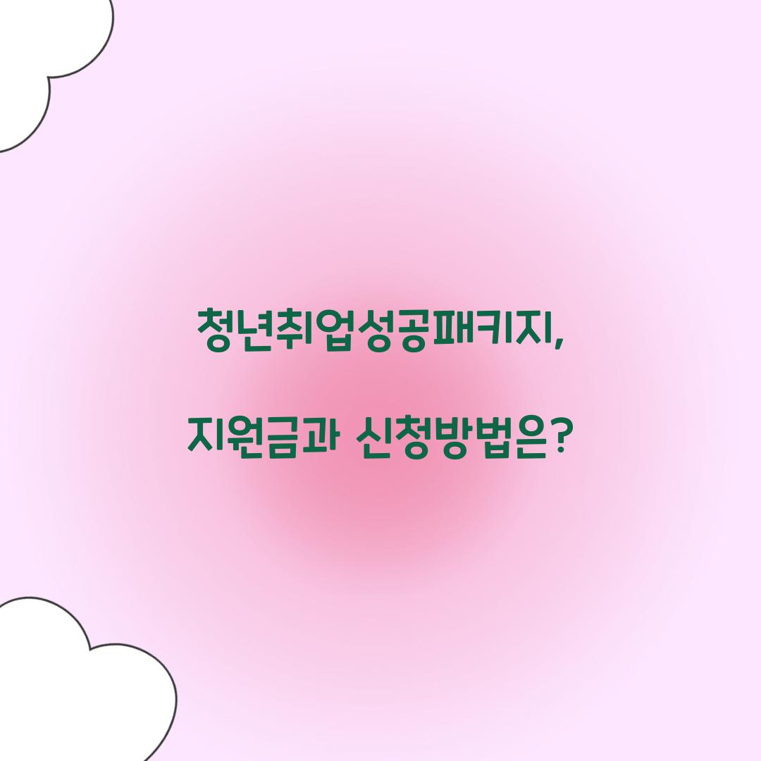 청년취업성공패키지