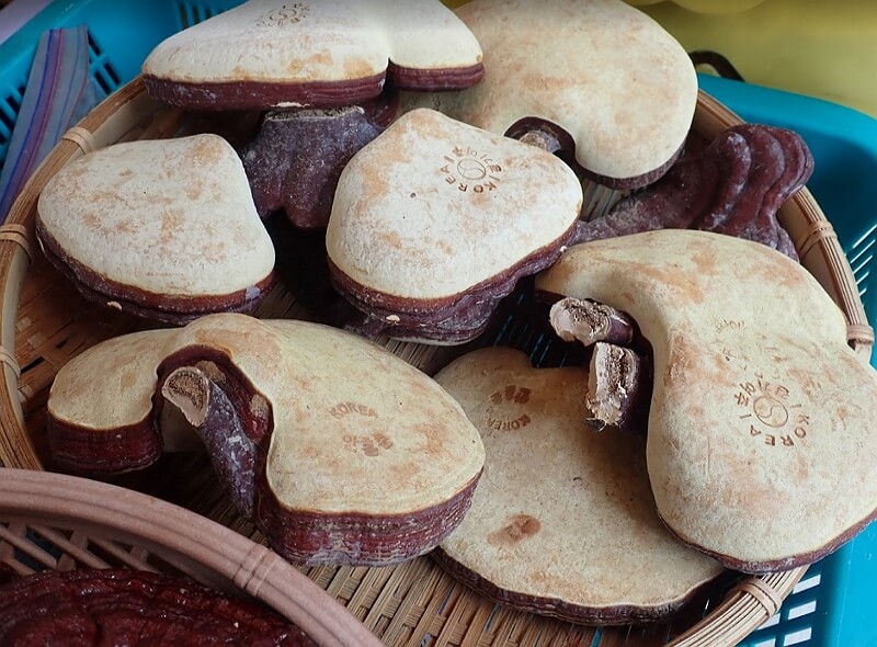 원산지-표기된-영지버섯-사진