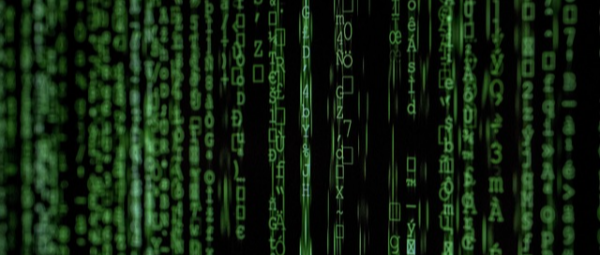 개발자의 보안 포인트