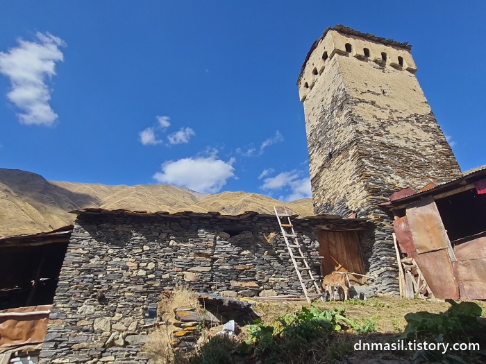 코시키가 있는 집의 야외 축사