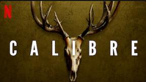 넷플릭스 영화 추천