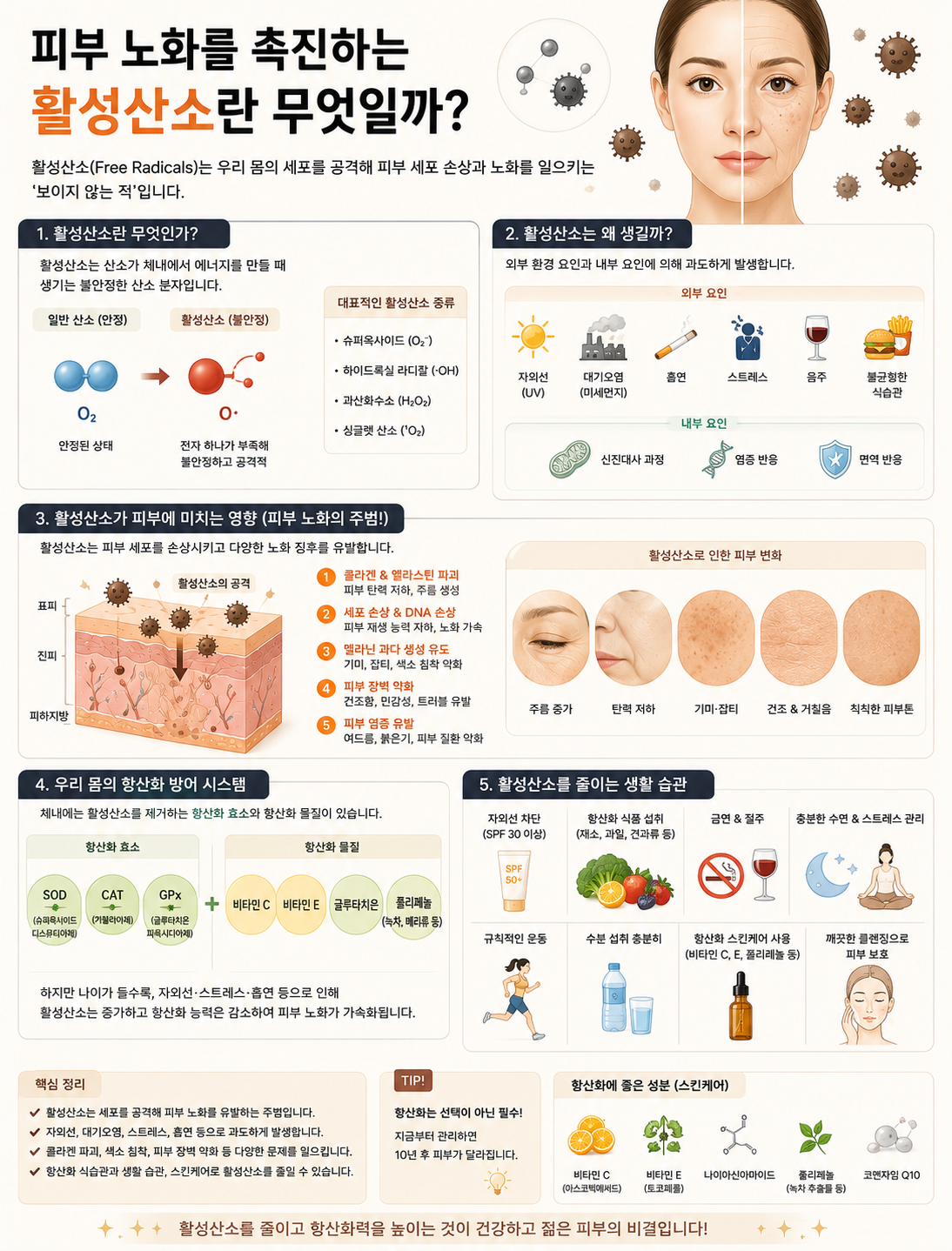 피부 노화의 활성산소