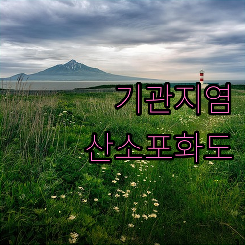 기관지염과 산소포화도, 건강하게 관리..