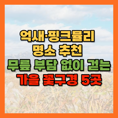 억새명소, 핑크뮬리명소, 무릎편한가을여행, 하늘공원억새, 신정호수공원, 갯골생태공원, 산정호수둘레길, 가산수피아, 서울억새축제, 가을꽃구경, 어르신가을여행, 부모님가을나들이, 평지산책로, 2026억새, 하늘공원전기차, 맹꽁이전기차, 핑크뮬리시기, 억새절정시기, 갯골생태공원핑크뮬리, 댑싸리, 아산가볼만한곳, 시흥가볼만한곳, 포천가볼만한곳, 칠곡가볼만한곳, 수도권억새명소, 무료가을여행지, 무장애산책로, 가을산책코스, 시니어여행, 황금길가이드