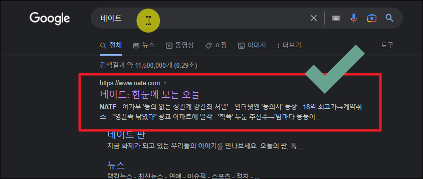 네이트 사이트 접속