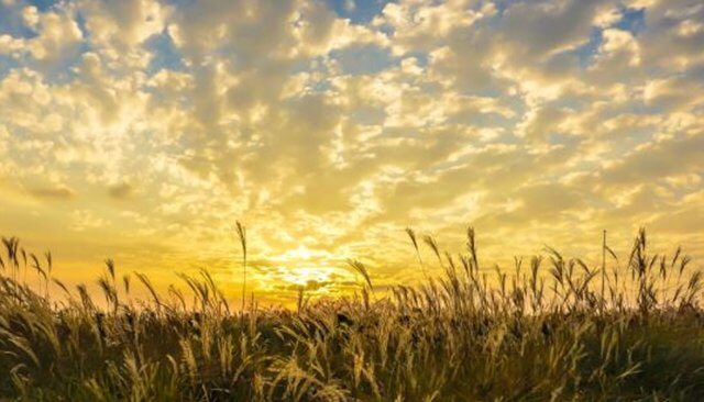 가을 축제 가볼만한 곳 추천